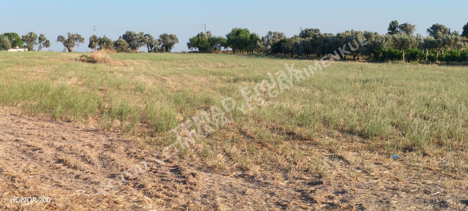 Fotoğraf