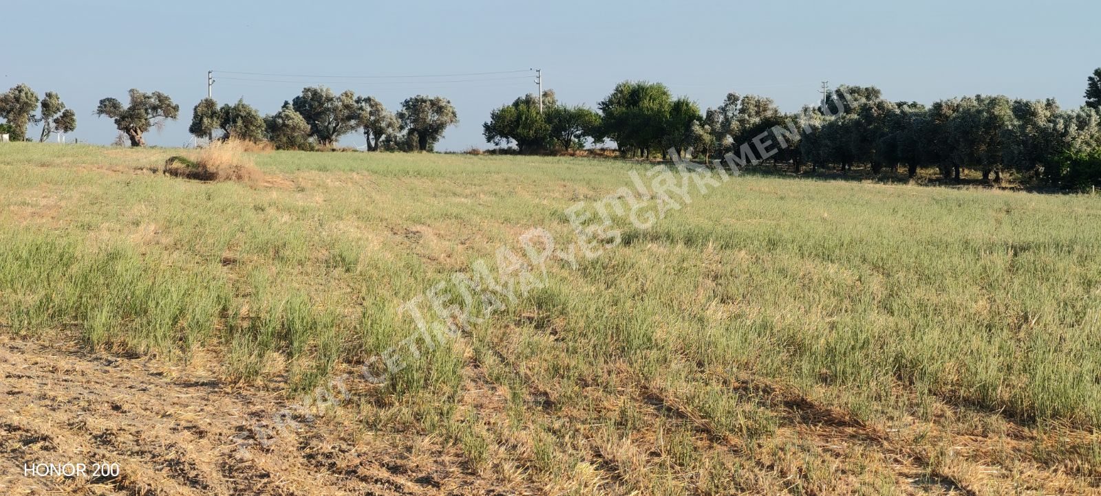 Fotoğraf