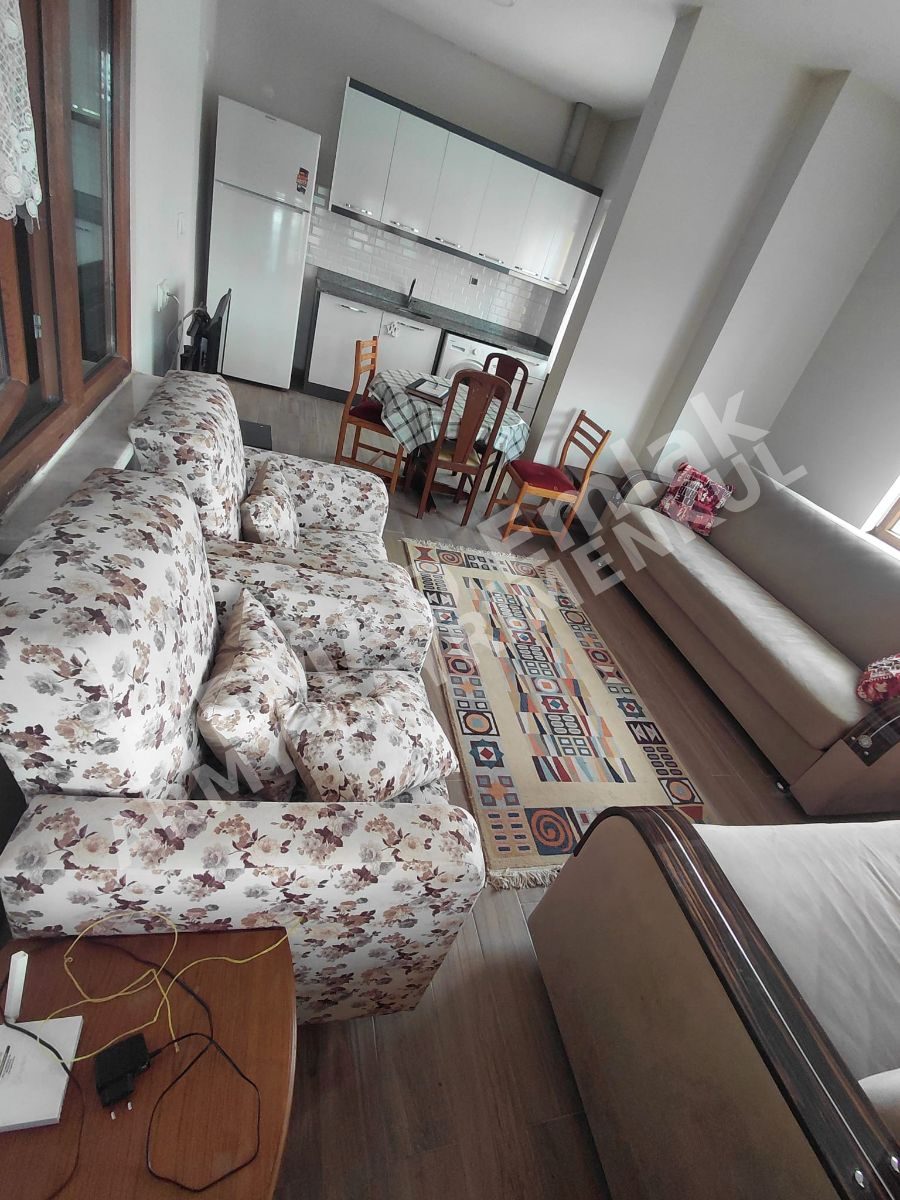 Fotoğraf