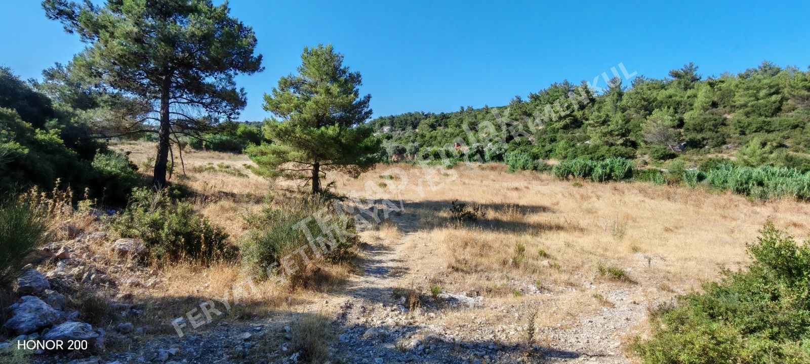 SATILIK URLA ÖZBEK MAHALLESİ KOOPERATİF HİSSESİ 301 METRE ZEYTİNAĞAÇLI TARLA