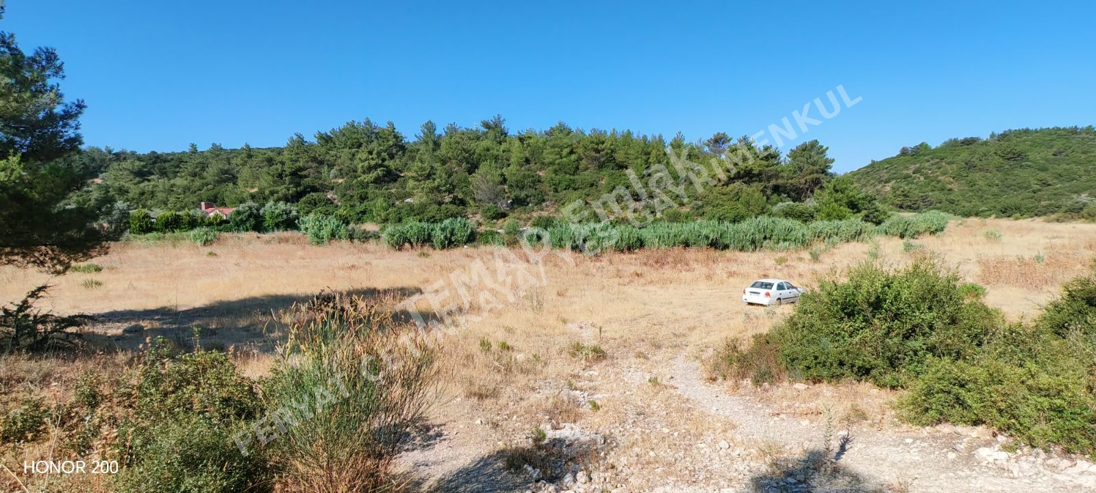 Fotoğraf