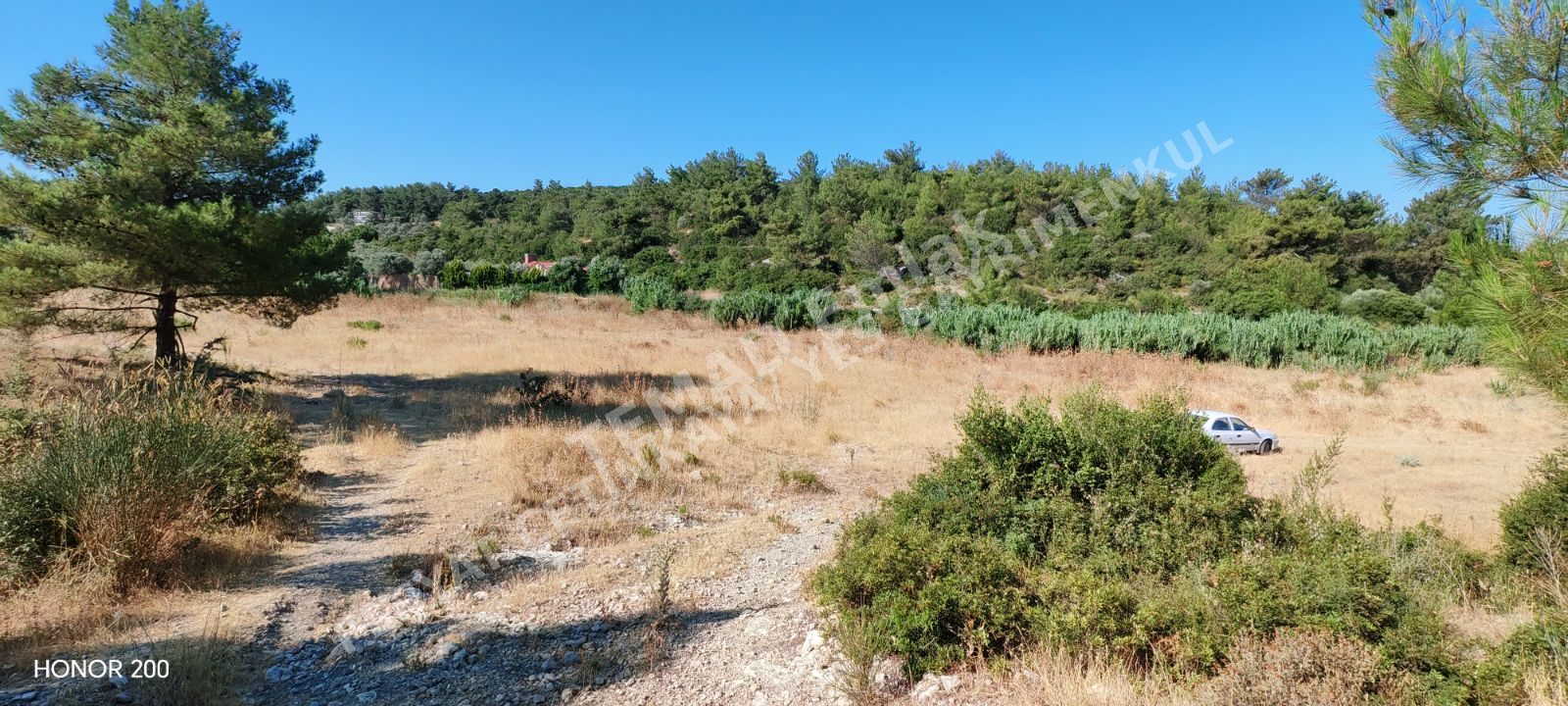 Fotoğraf