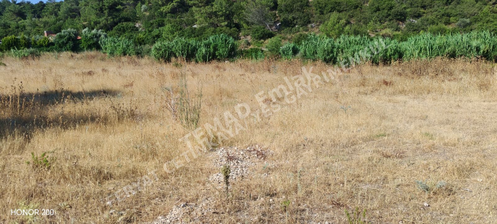 Fotoğraf