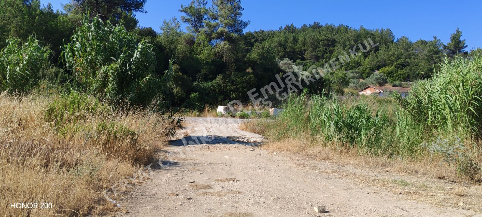Fotoğraf