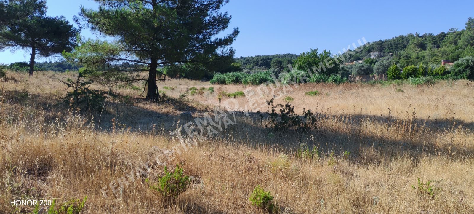 Fotoğraf