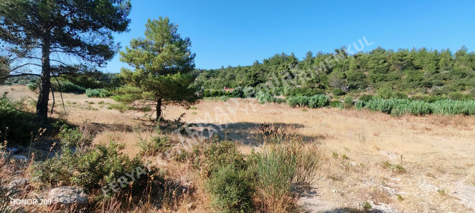 Fotoğraf
