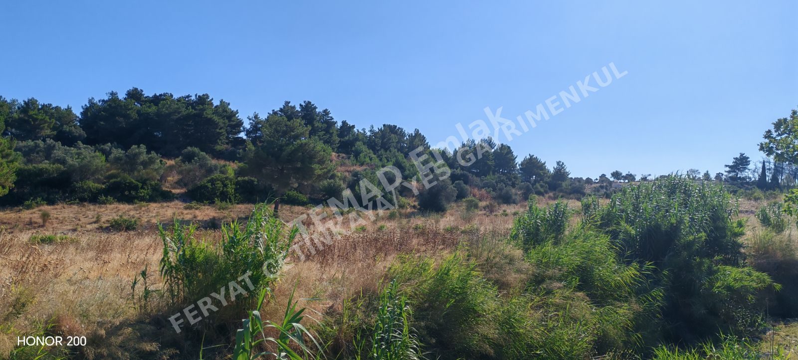 Fotoğraf
