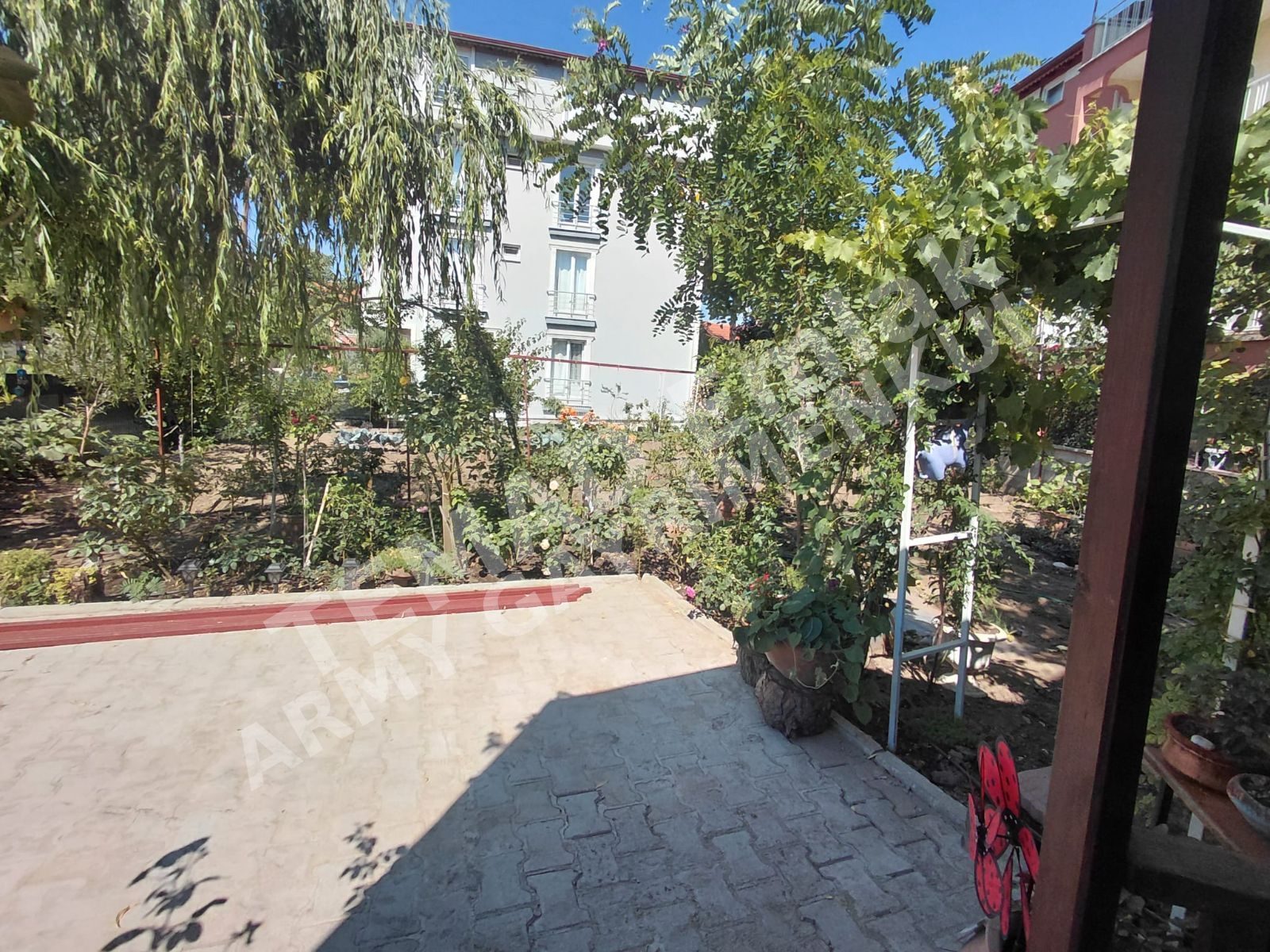 Fotoğraf
