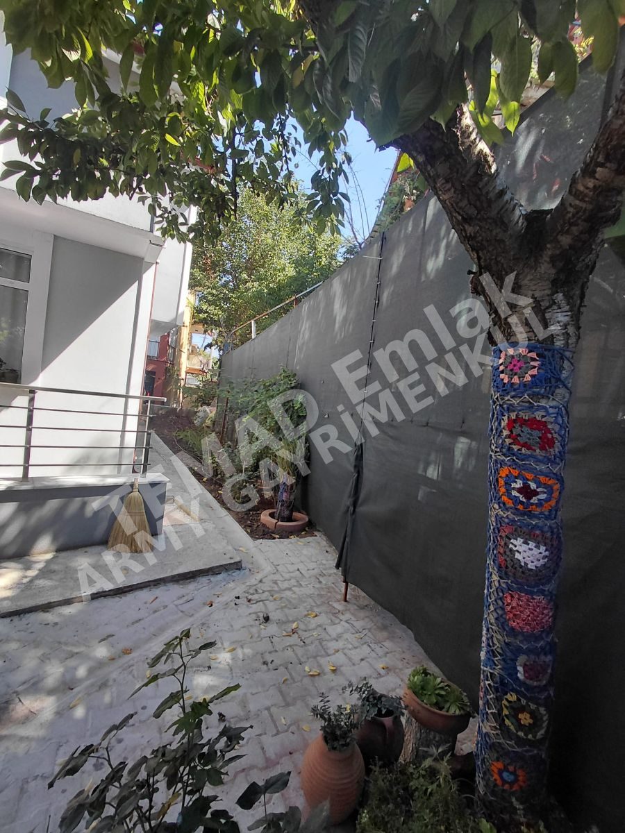 Fotoğraf