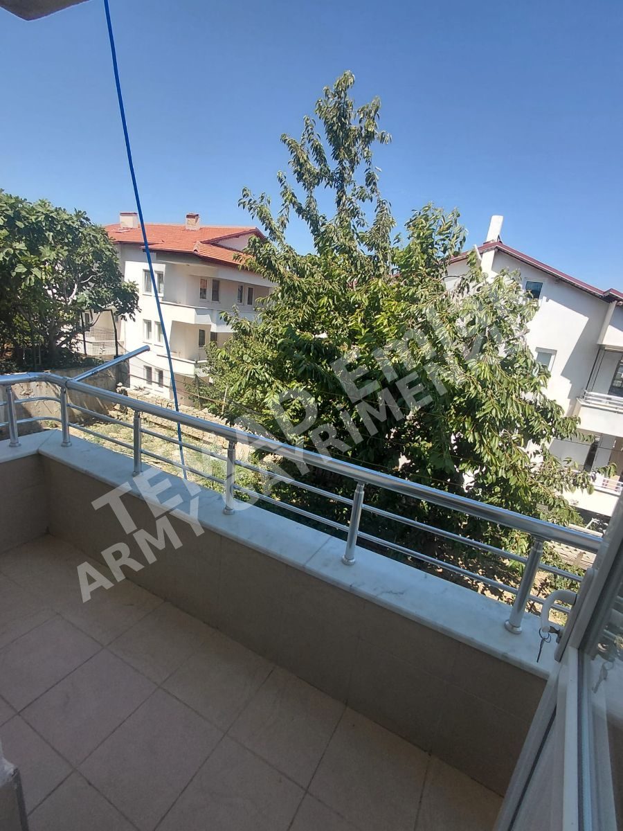 Fotoğraf