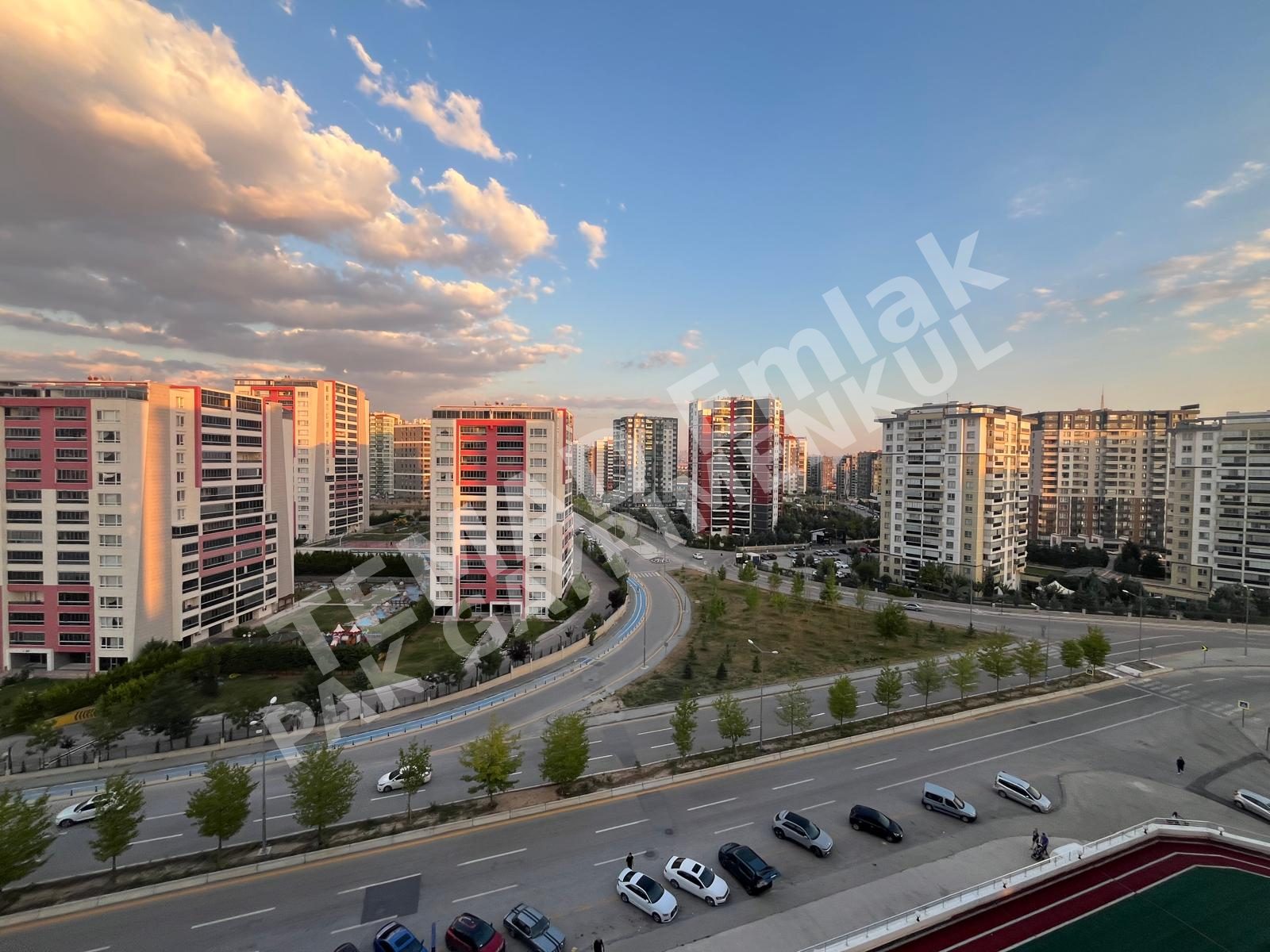 Fotoğraf