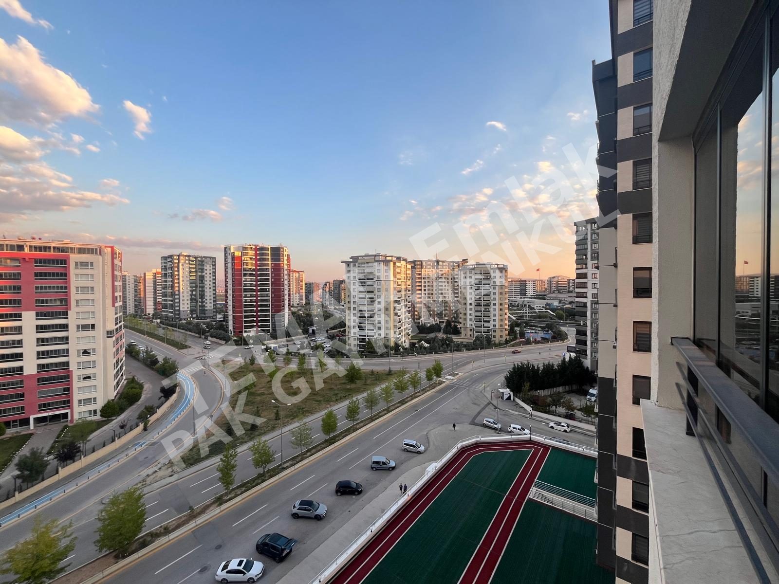 Fotoğraf