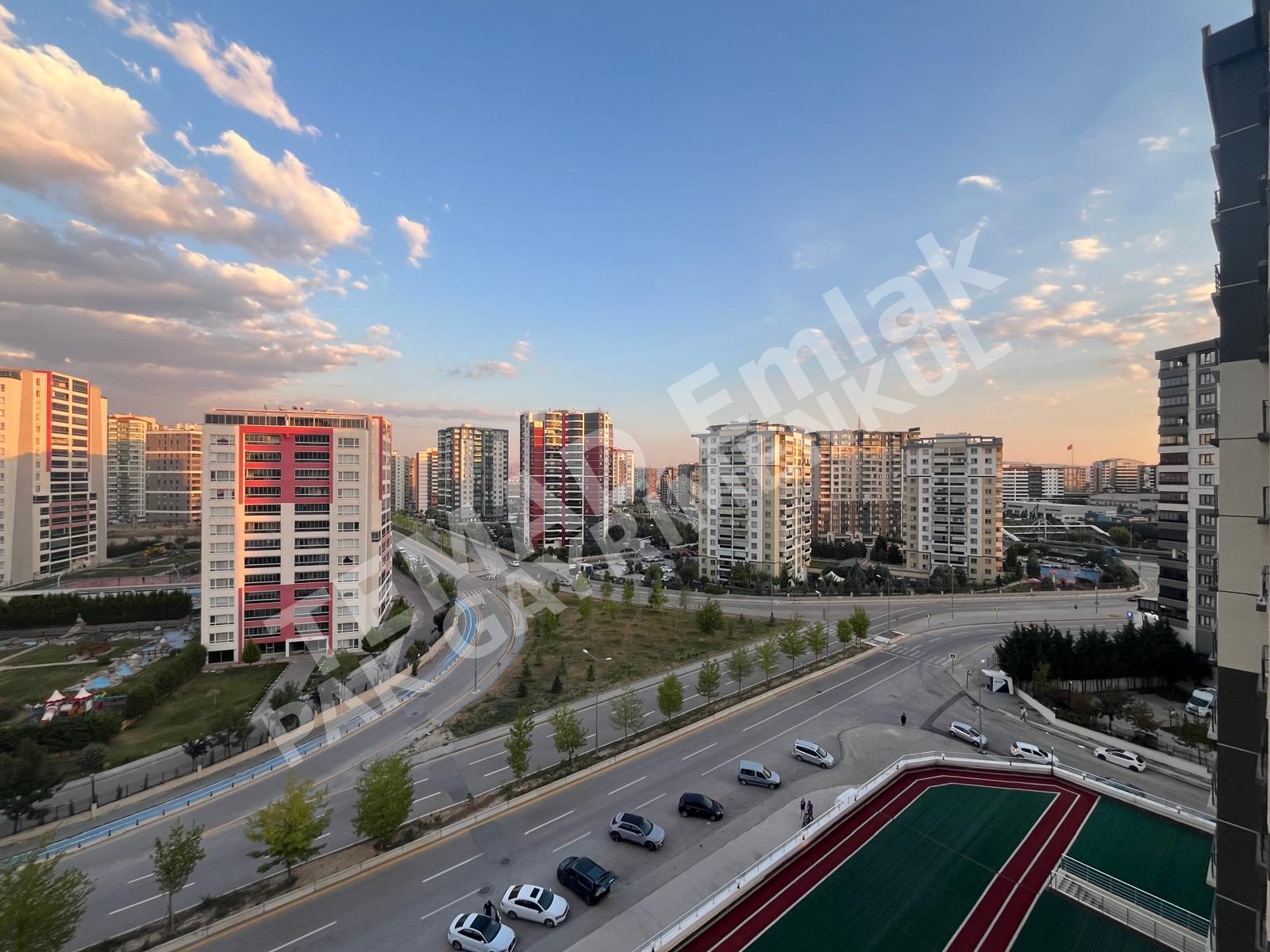 Fotoğraf