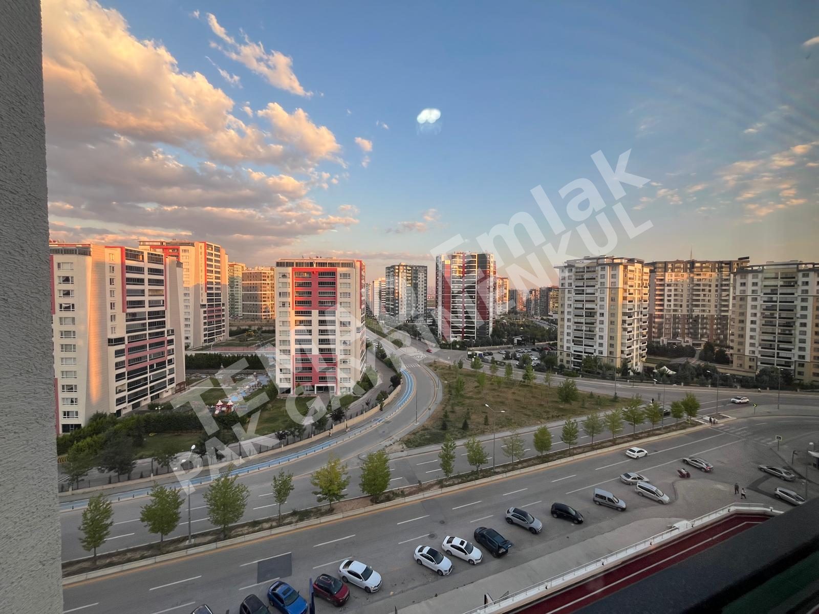 Fotoğraf