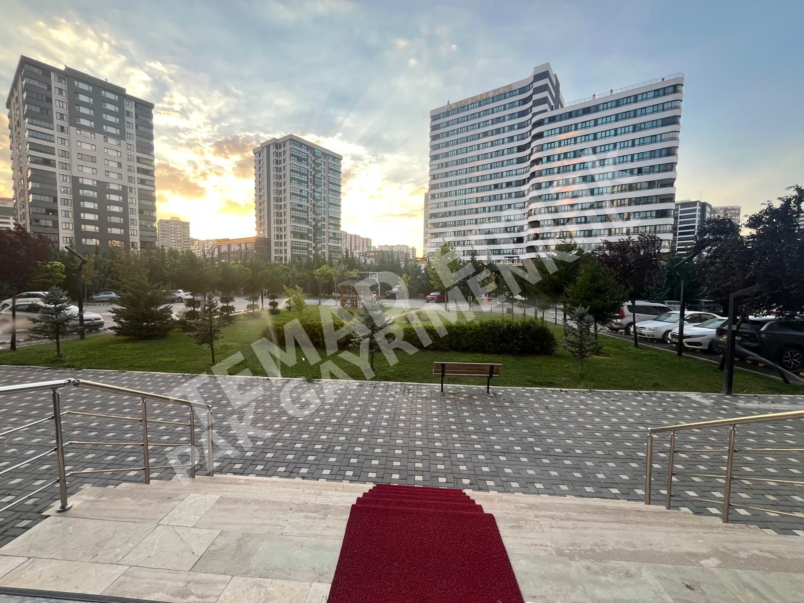 Fotoğraf