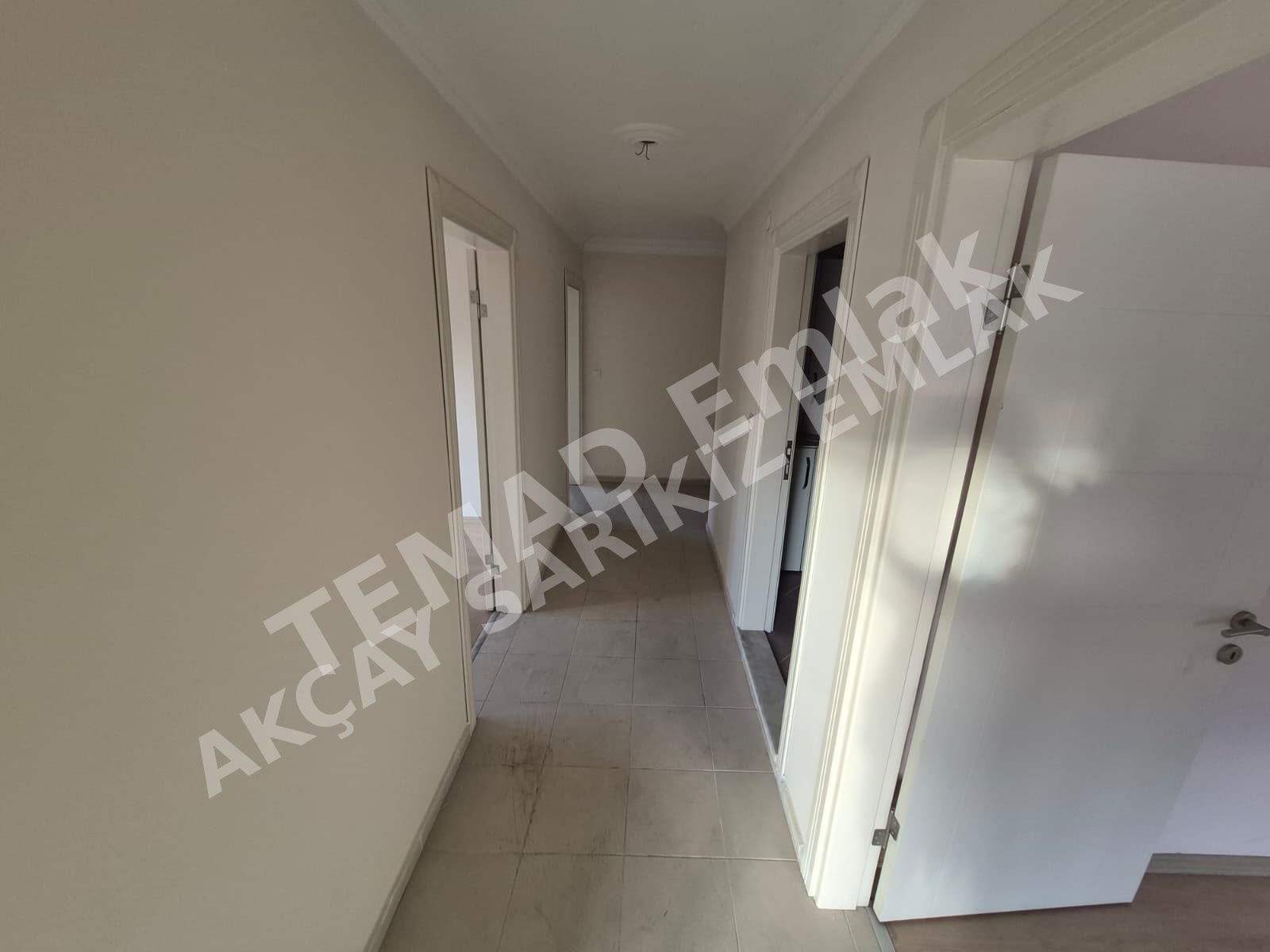 Fotoğraf