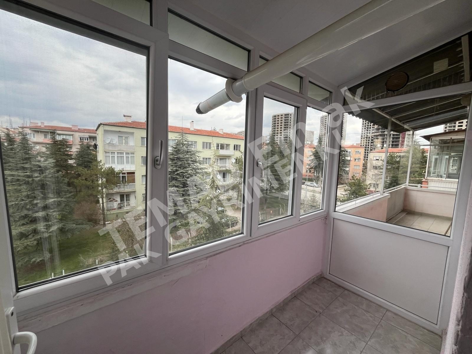 Fotoğraf
