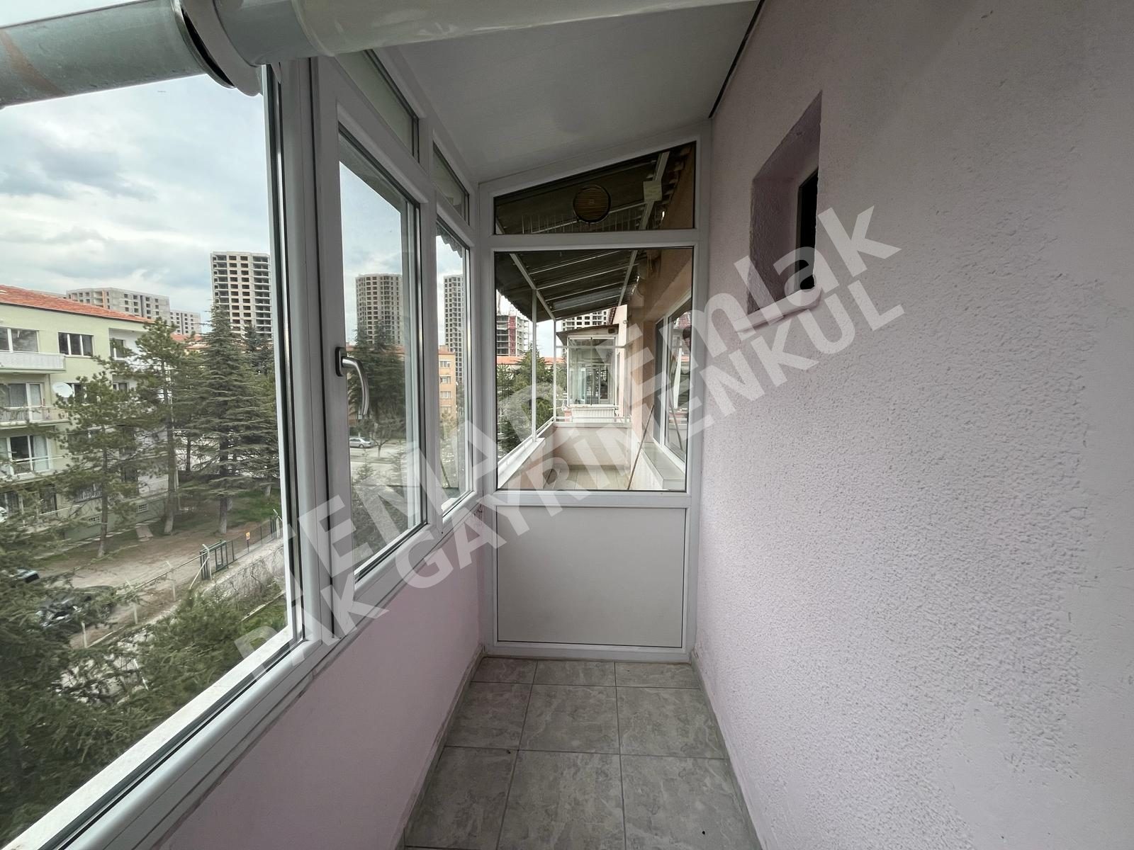 Fotoğraf