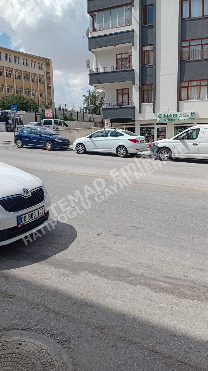 Fotoğraf