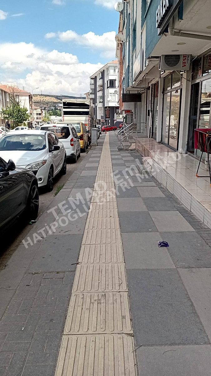 Fotoğraf