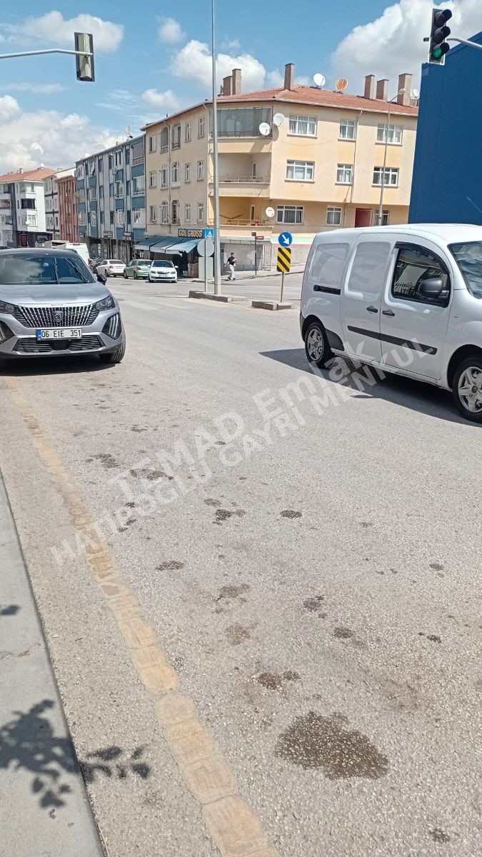 Fotoğraf