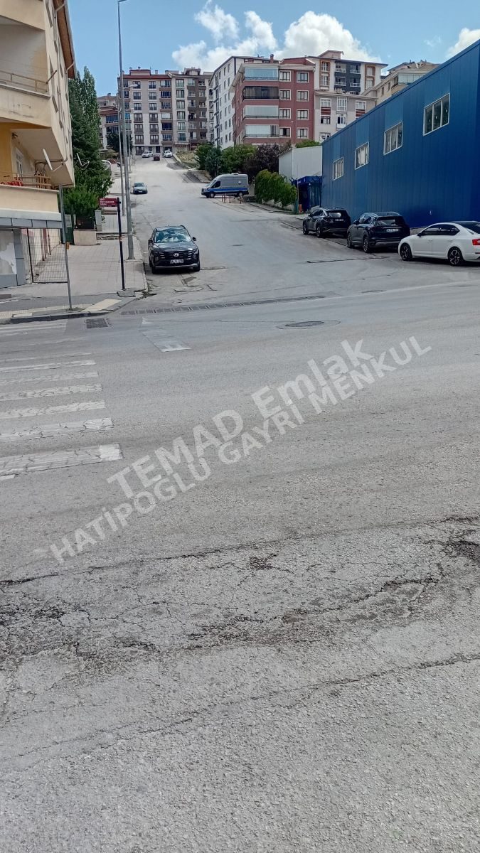 Fotoğraf