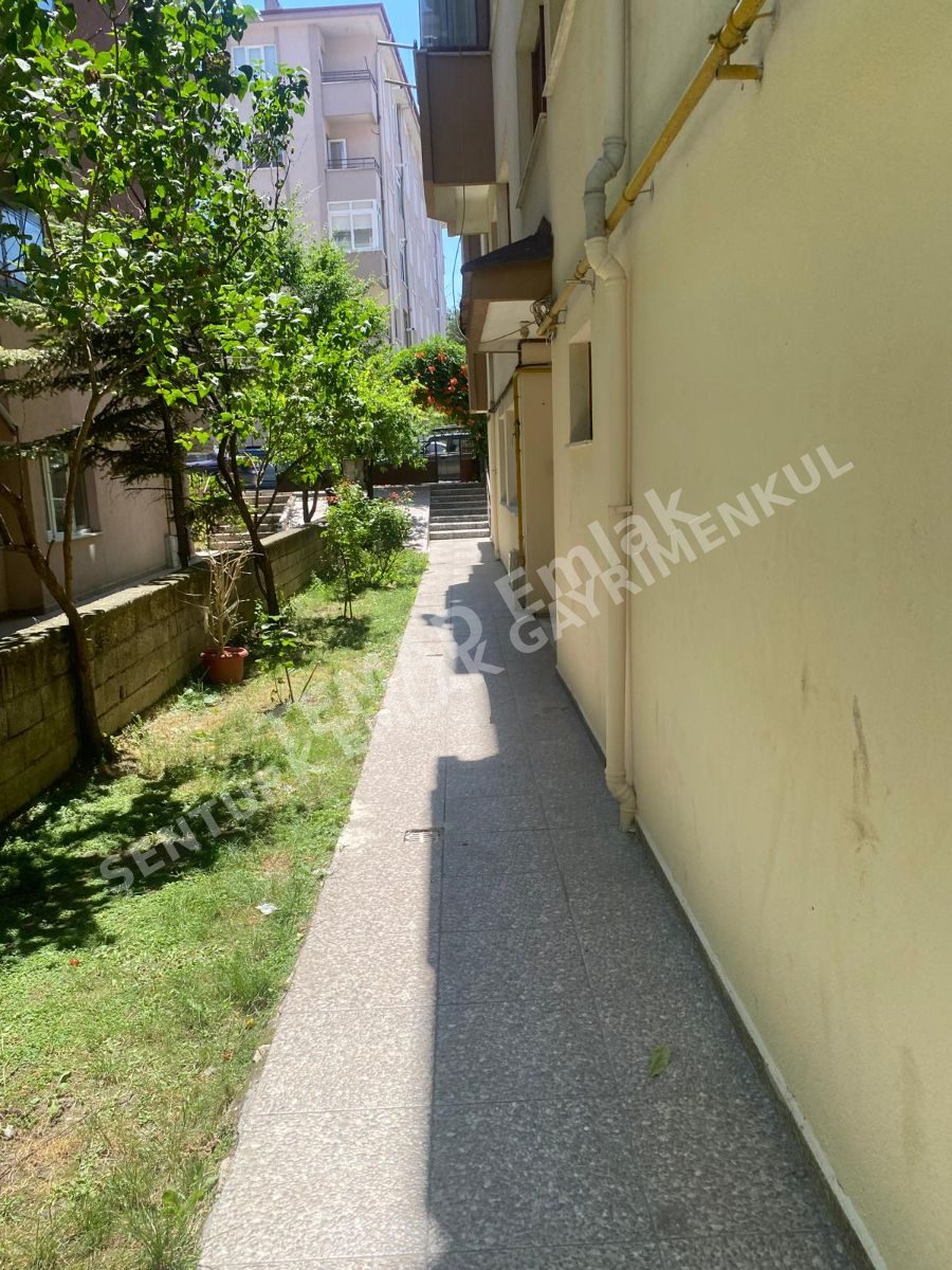 Fotoğraf