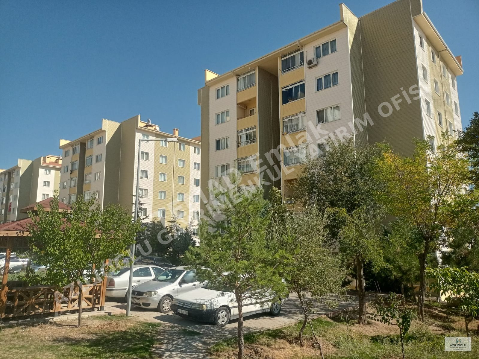 Fotoğraf