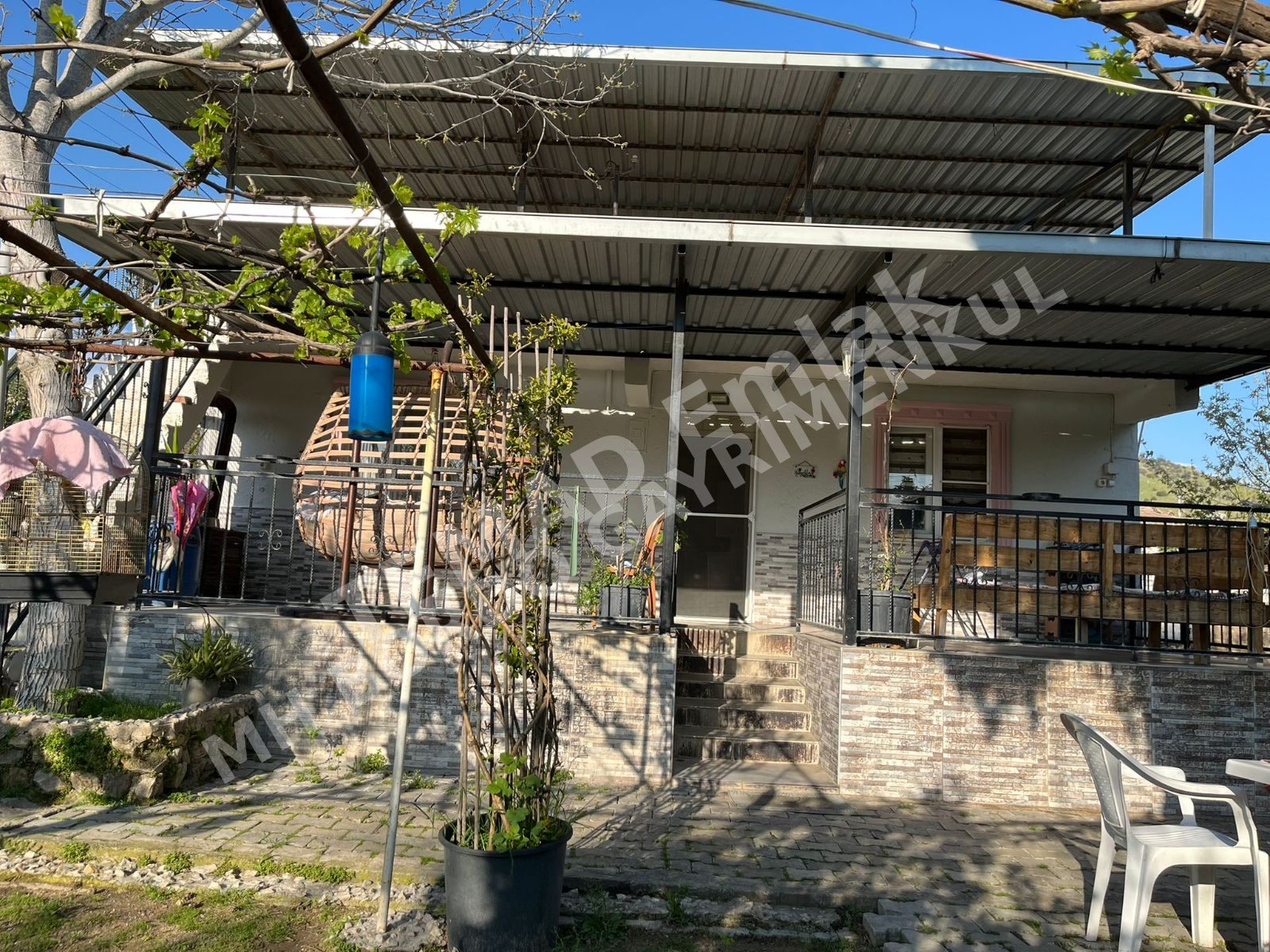Fotoğraf
