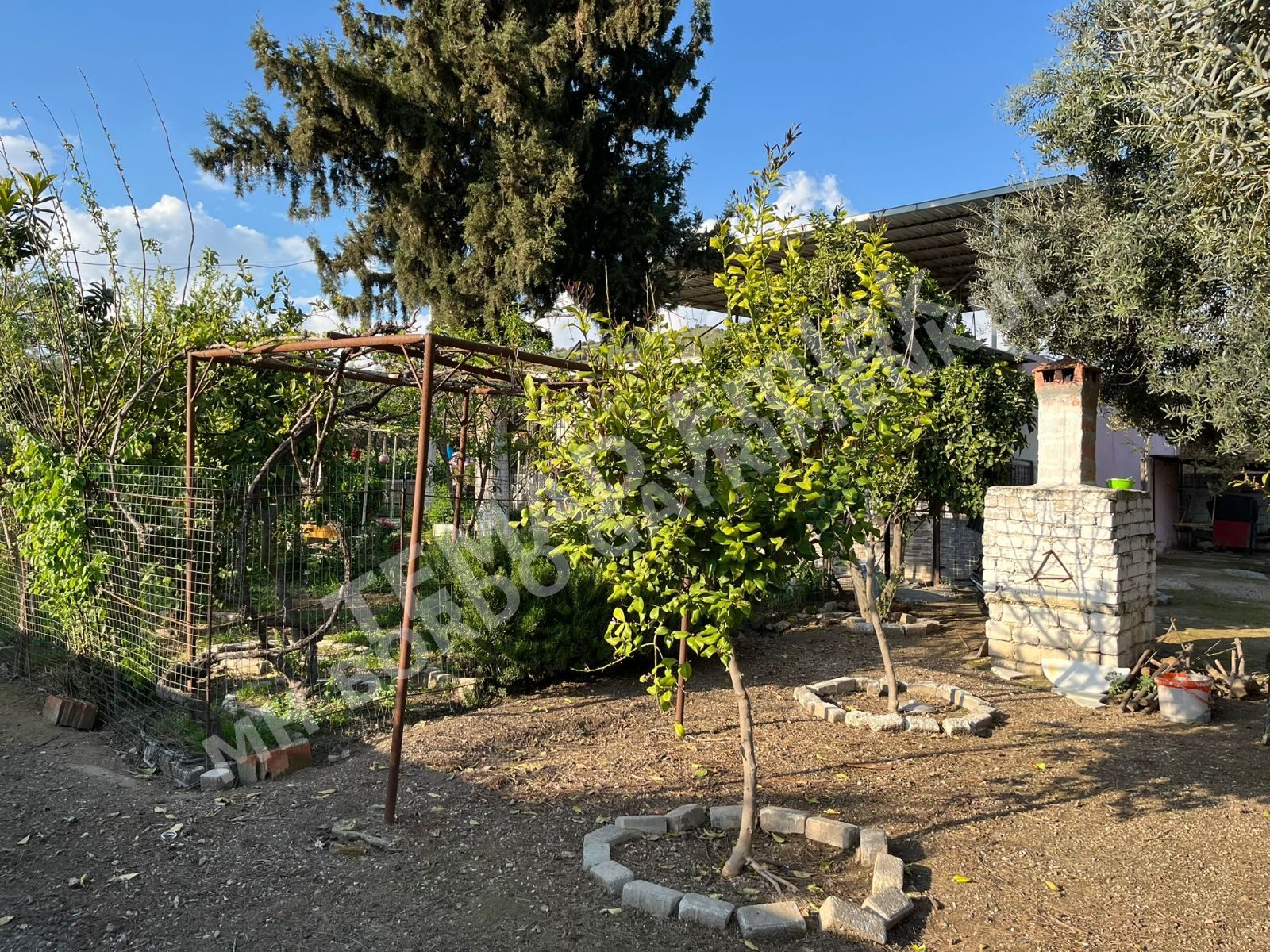 Fotoğraf