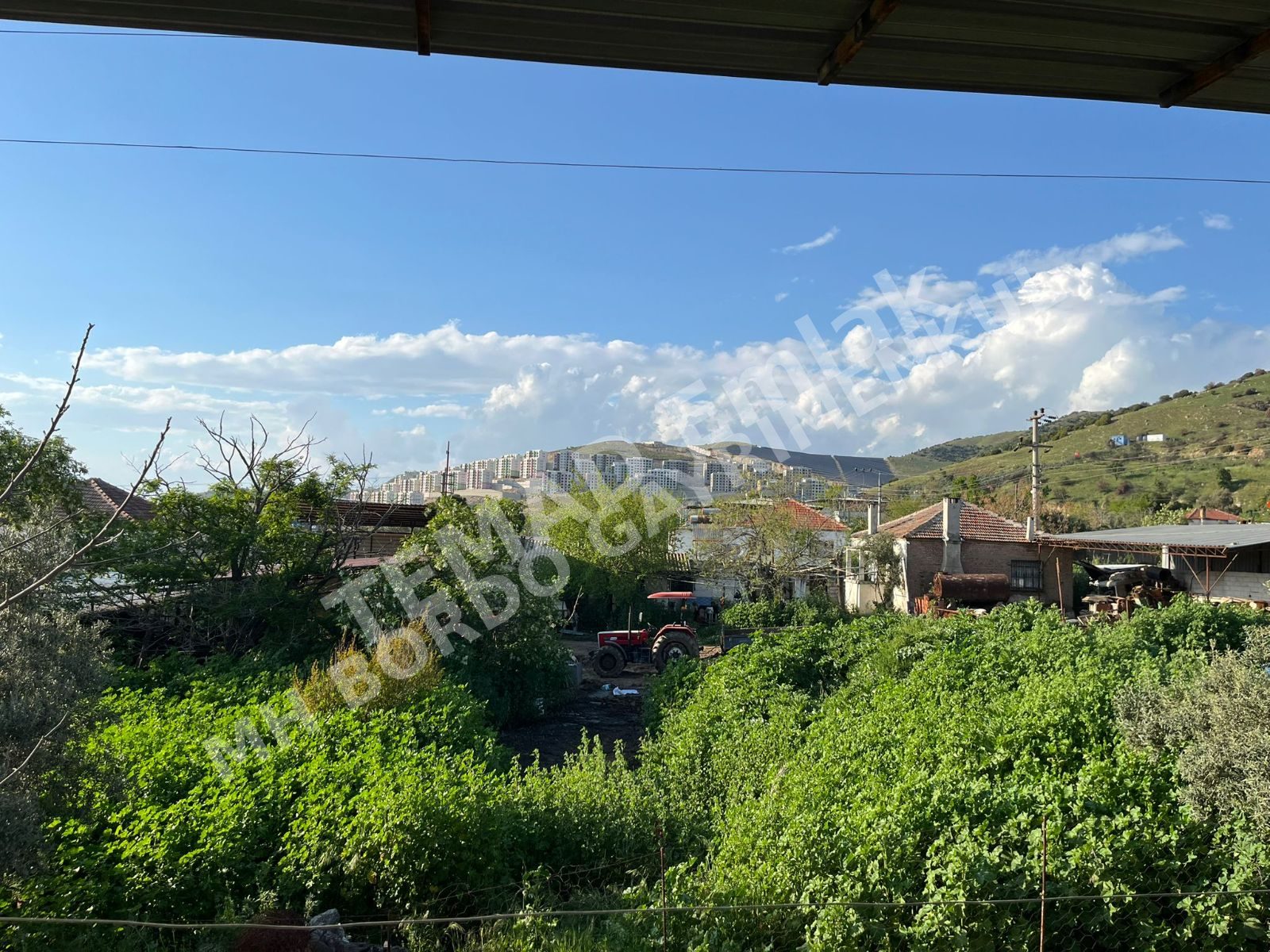 Fotoğraf