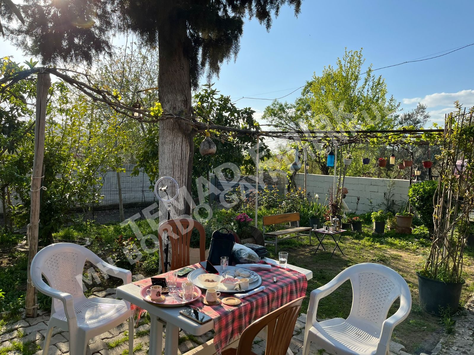 Fotoğraf