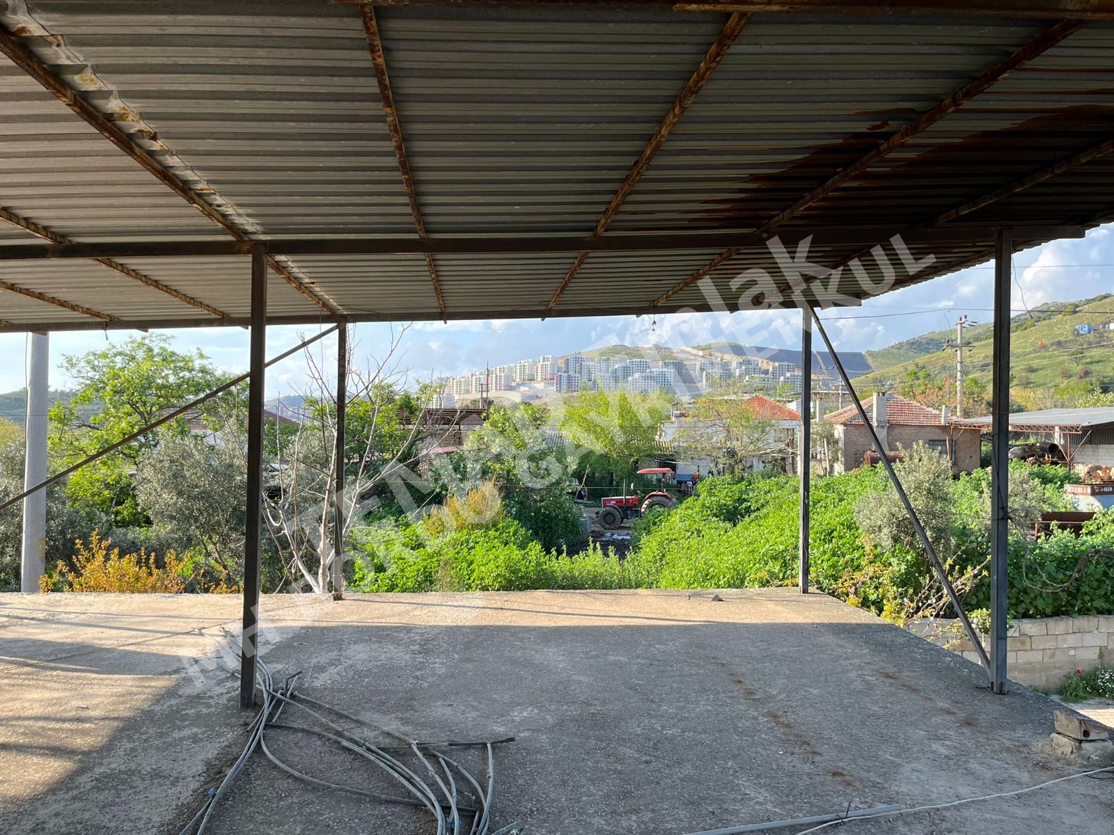 Fotoğraf