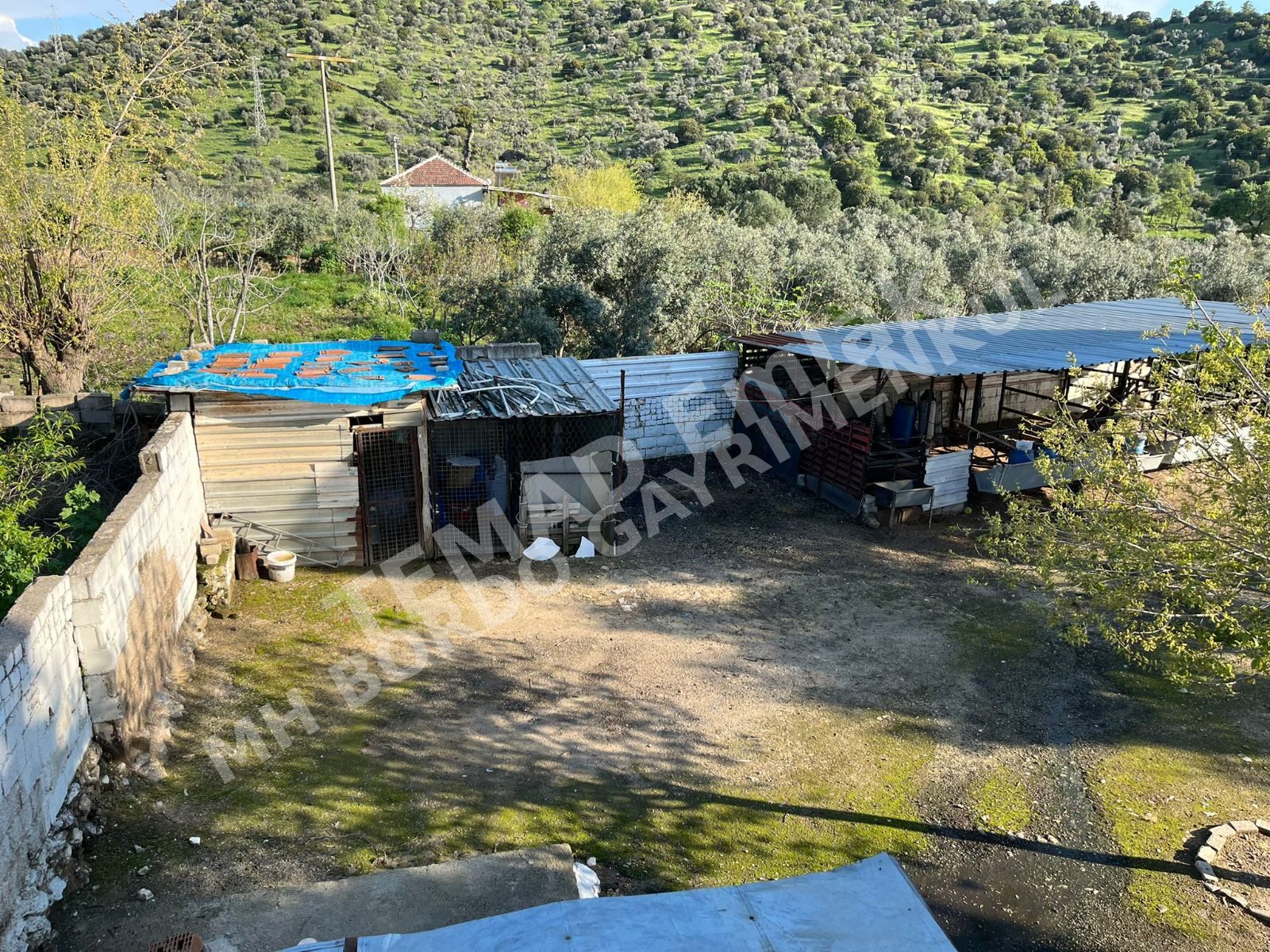 Fotoğraf