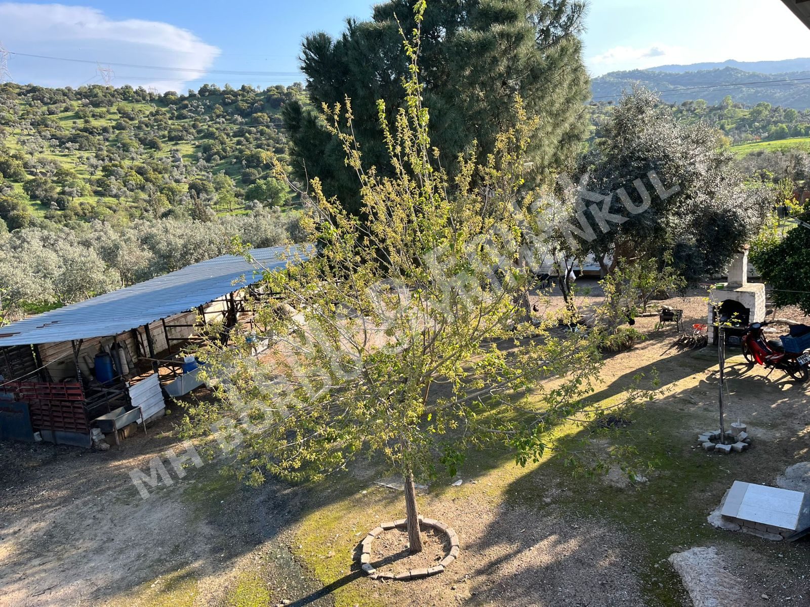 Fotoğraf