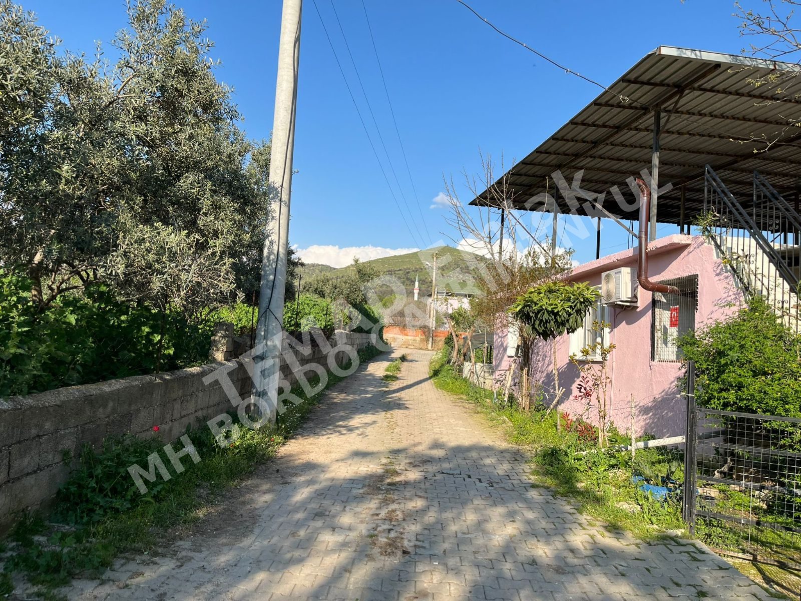 Fotoğraf