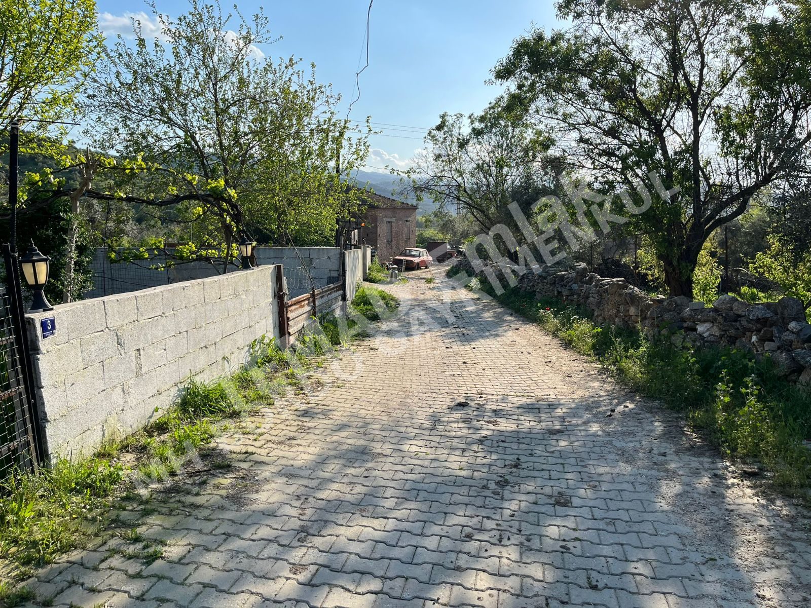 Fotoğraf