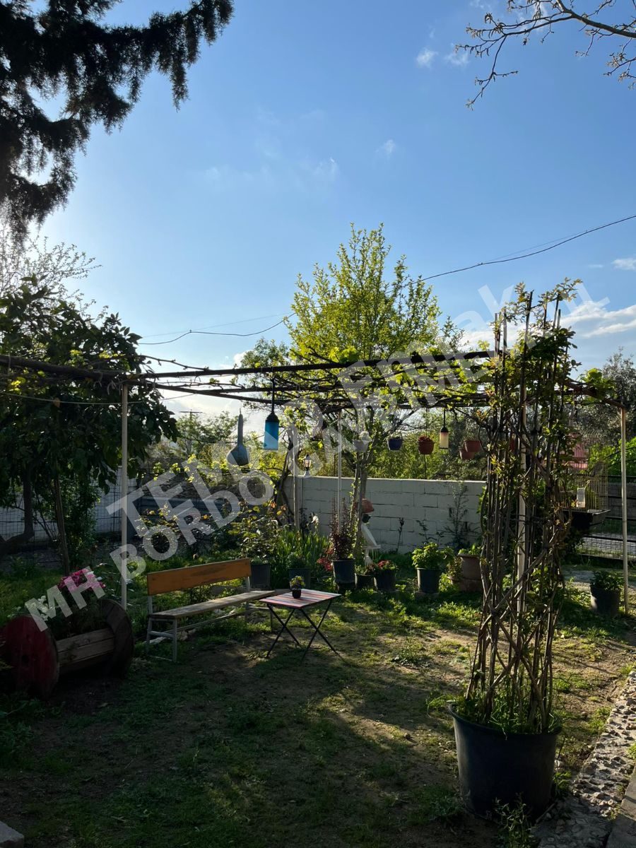 Fotoğraf