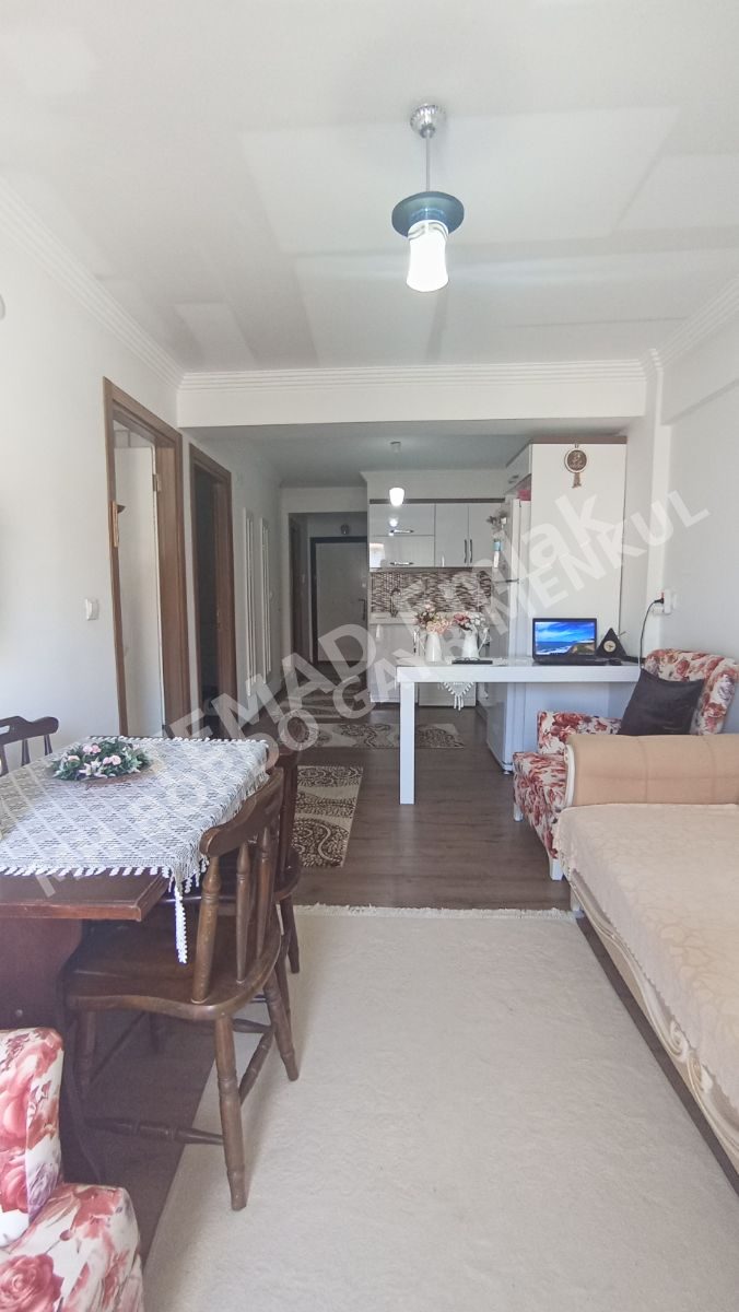 Fotoğraf