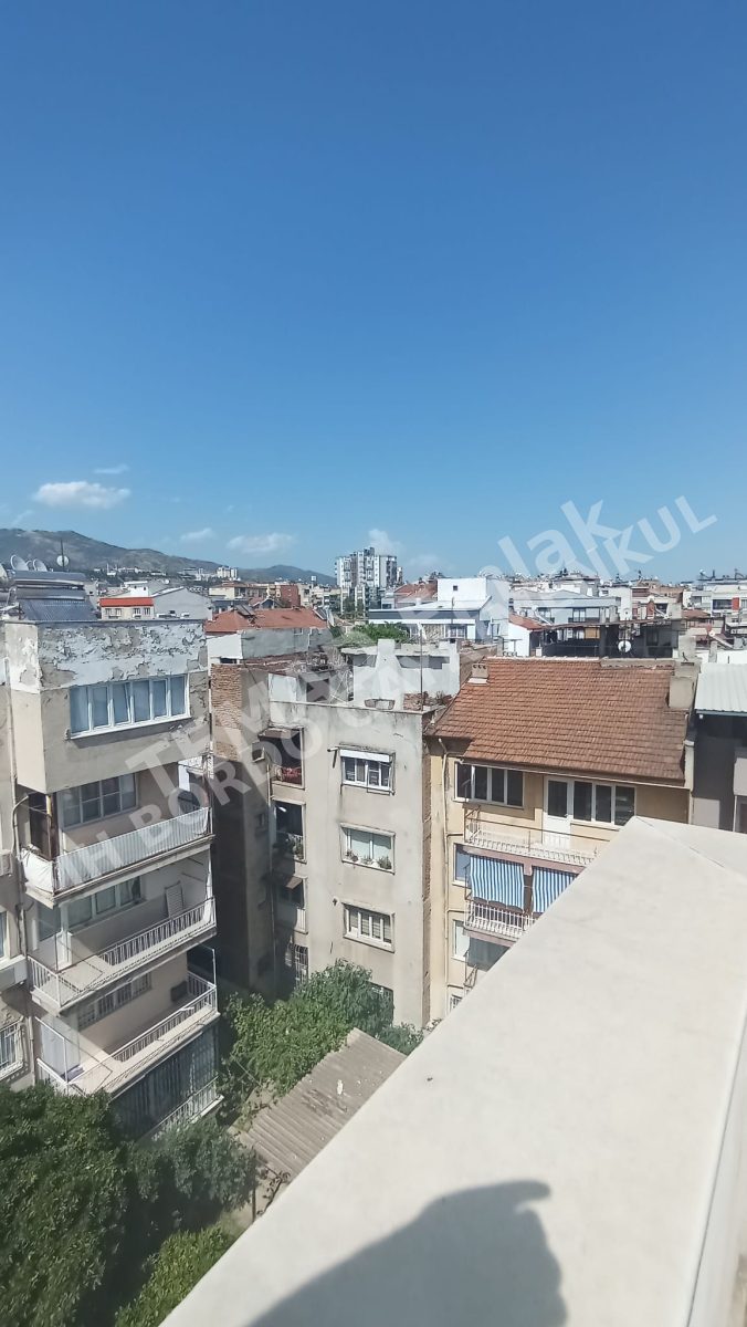 Fotoğraf