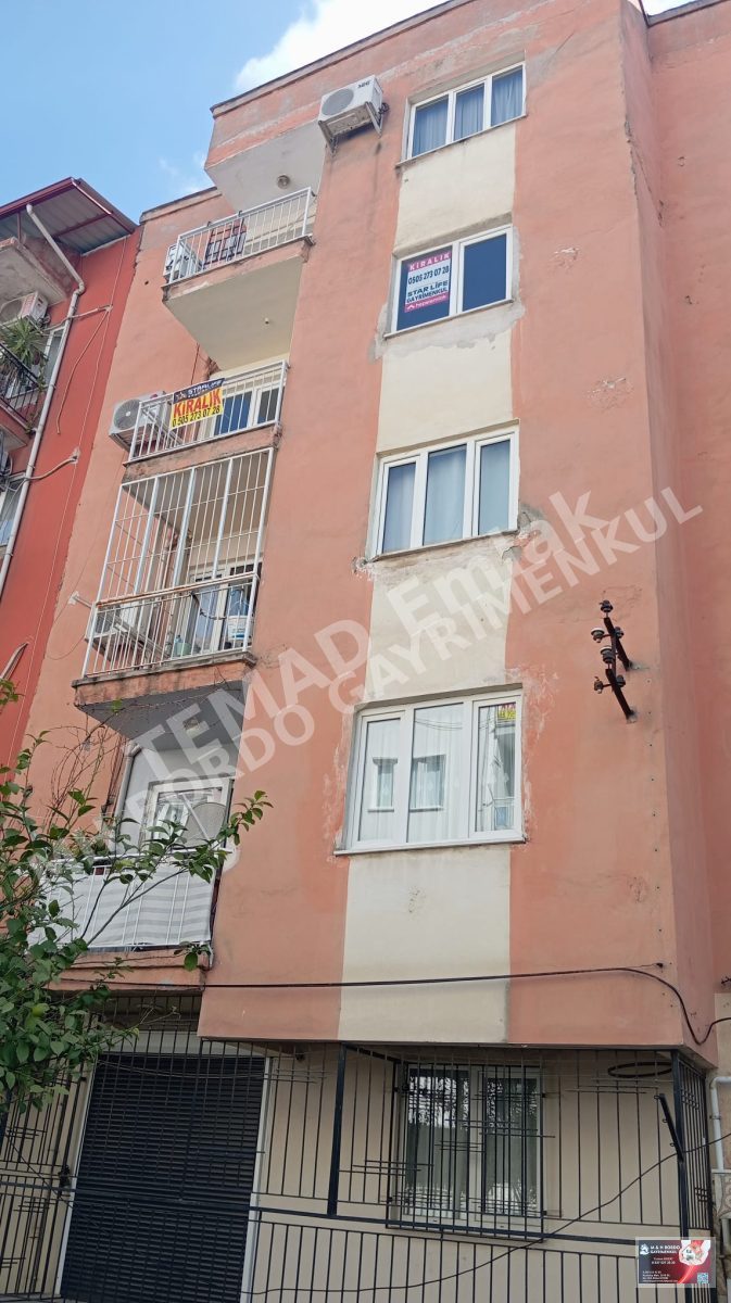 Fotoğraf