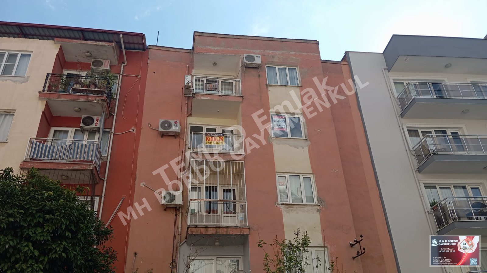 Fotoğraf