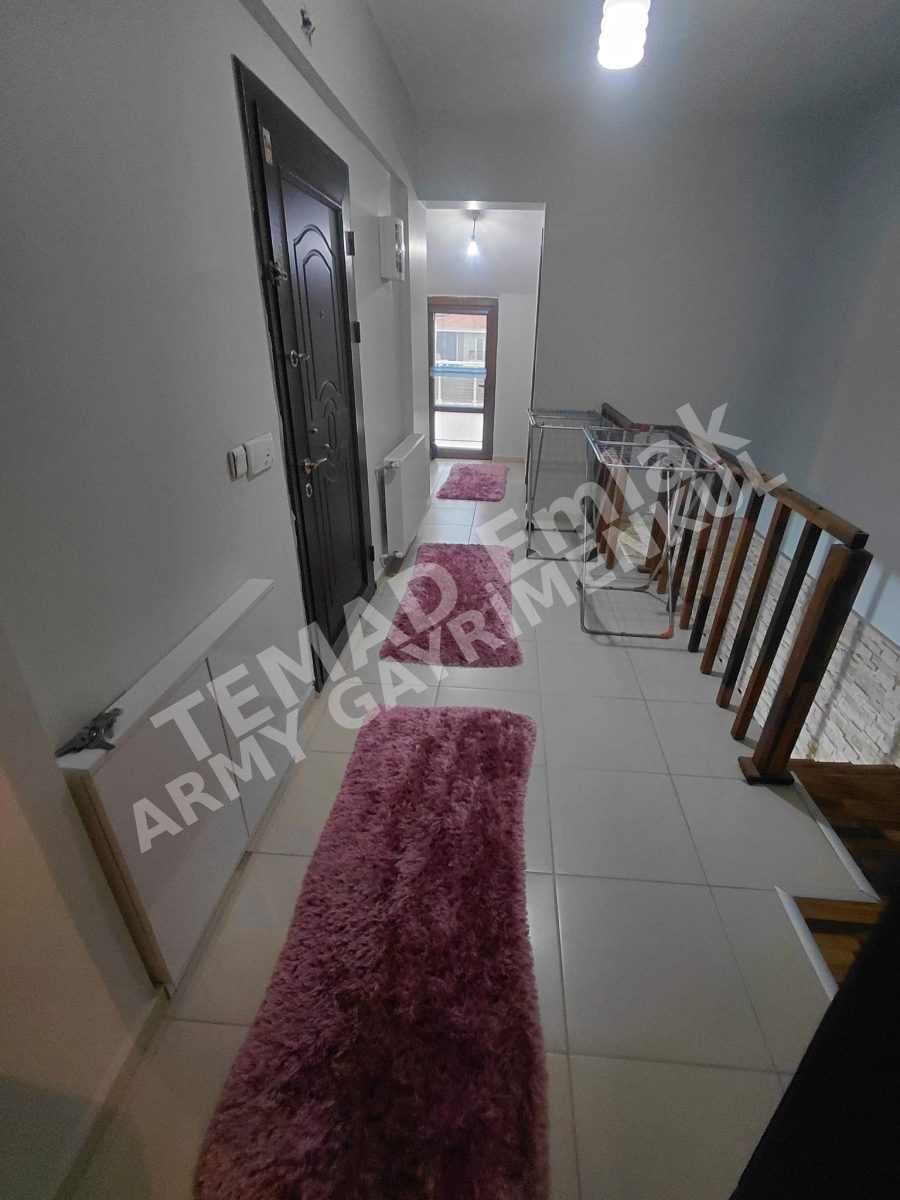 Fotoğraf