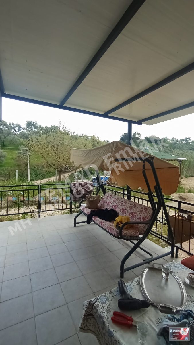 Fotoğraf