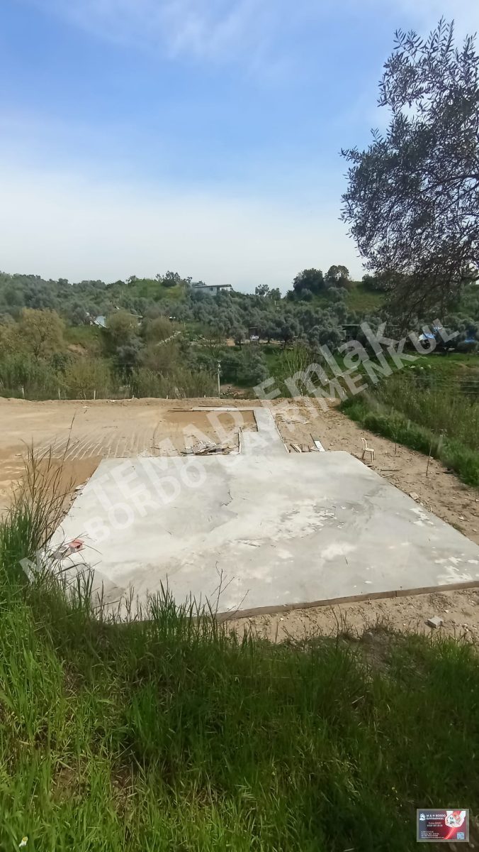 Fotoğraf