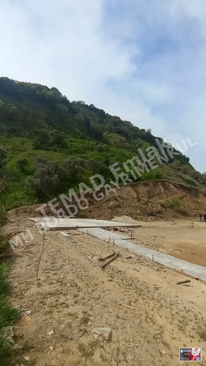Fotoğraf