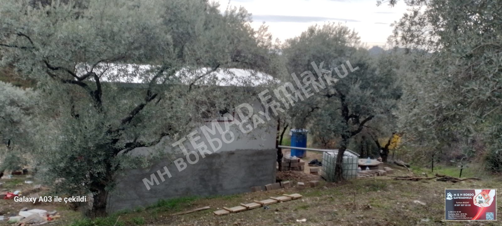 Fotoğraf
