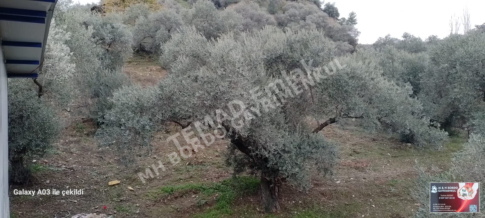 Fotoğraf