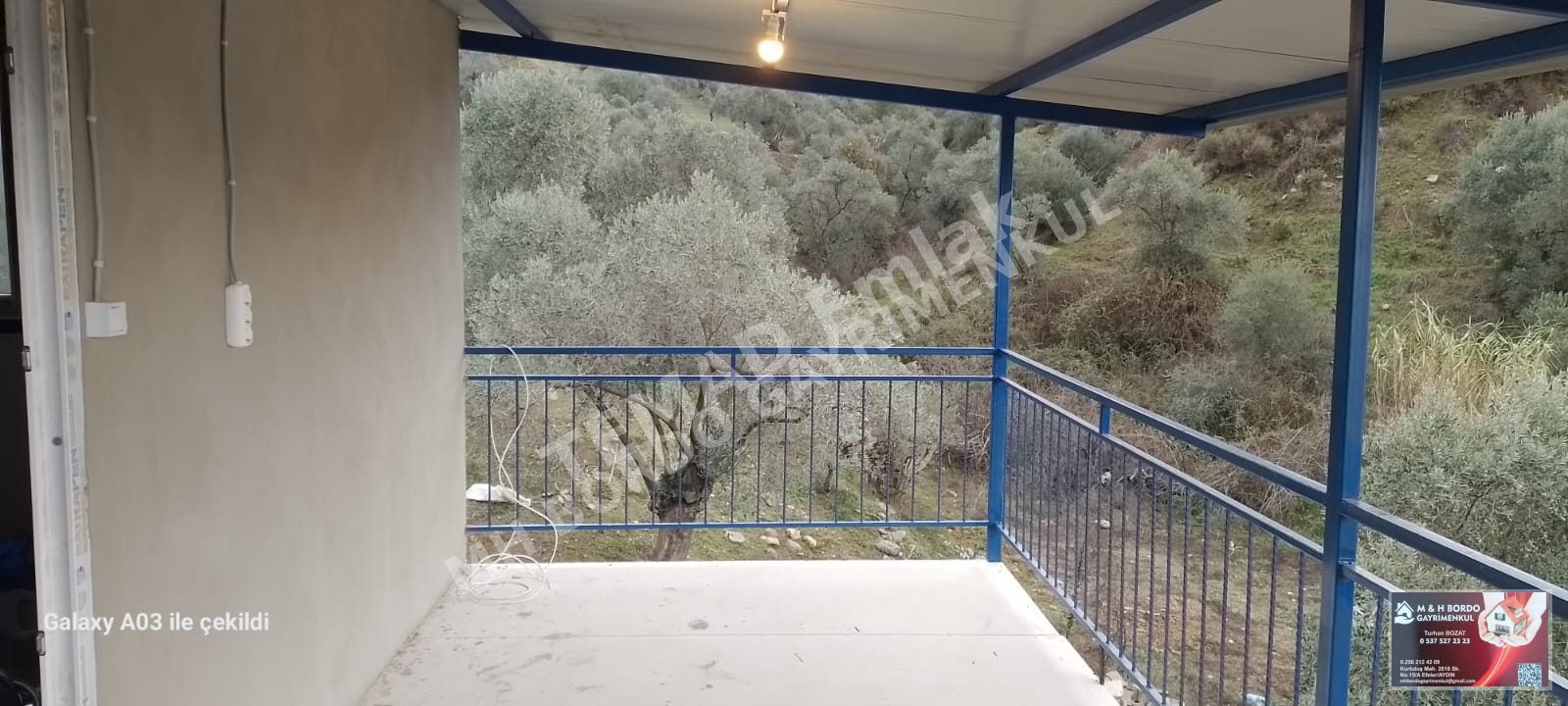Fotoğraf