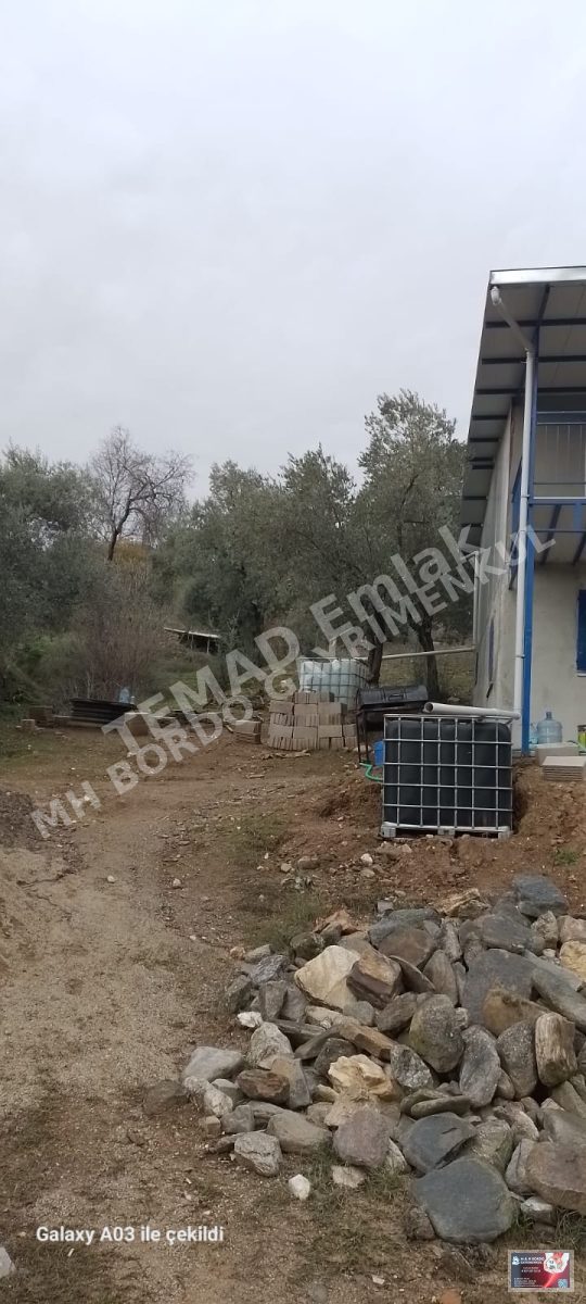 Fotoğraf